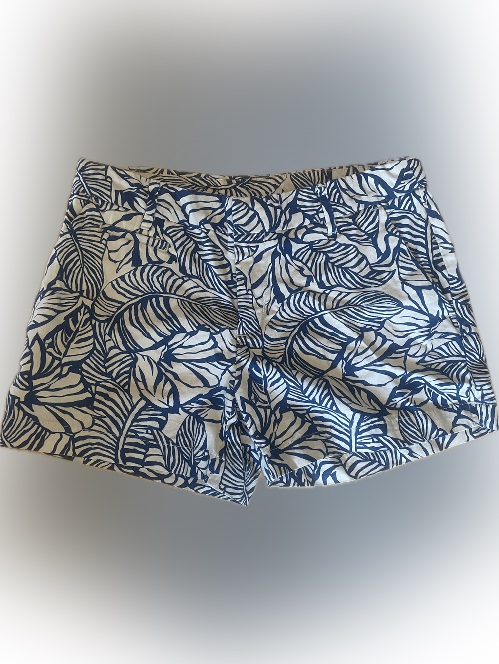 Patagonia Organic Cotton Blue & White Shorts Size 4 🤍💙